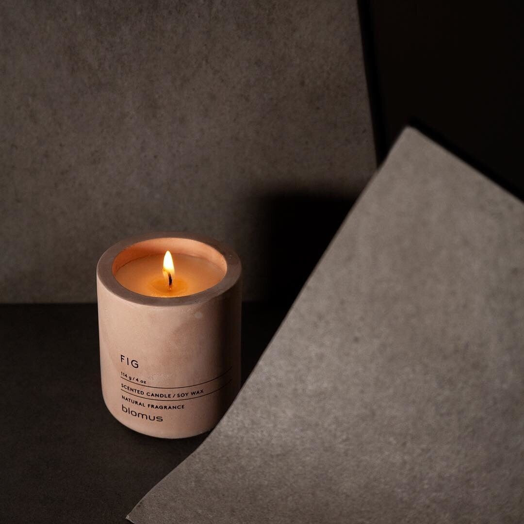 Candle Fig