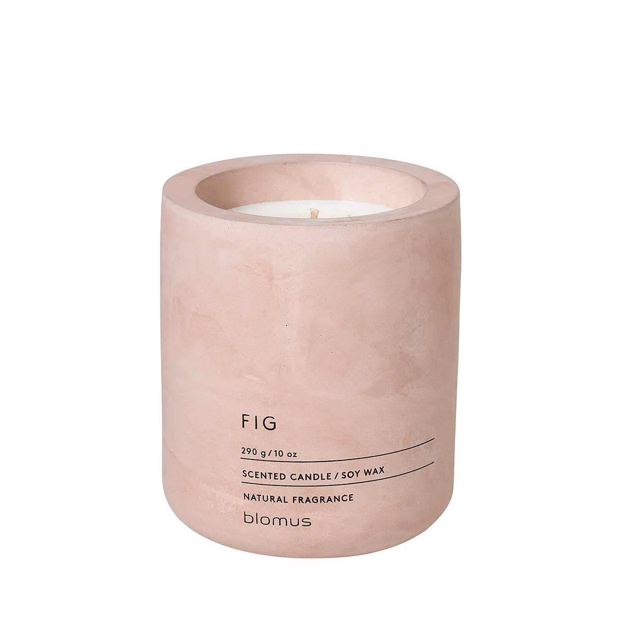 Candle Fig