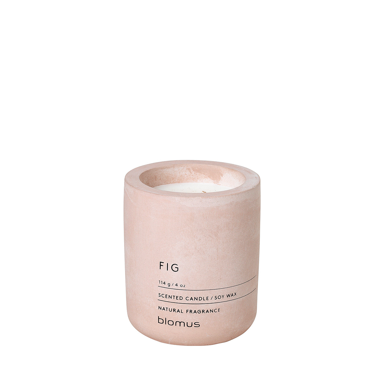 Candle Fig