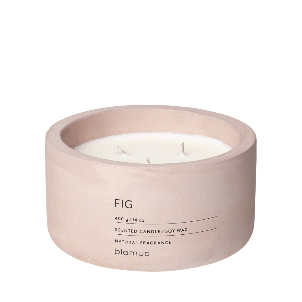 Candle Fig